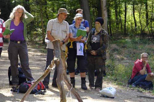 KPW2018-Hambacher-Forst-Jens